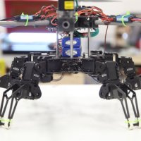 Hexapod Meets Hexacopter