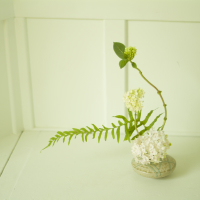 Ikebana 101