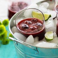 Blackberry Lime Spritzer