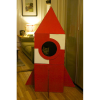 Cardboard Cat Rocket