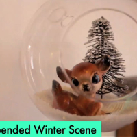 How-To: Floating Winter Terrariums