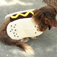 Hot Dog Coat