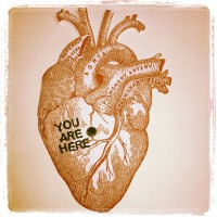 Anatomical Heart Valentine