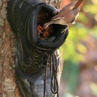 DIY Boot Birdhouse