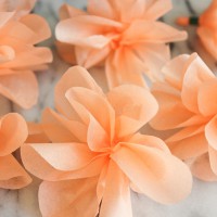 How-To: Tissue Paper Flower Garland