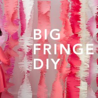 Big Fringe Party Wall