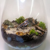 Breaking Bad Terrarium