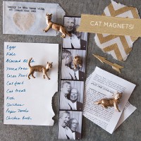 Kitty Magnets