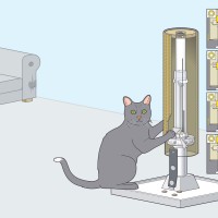 How-To: Cat Scratch Feeder