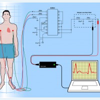 DIY ECG schematic