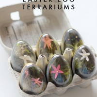 How-To: Easter Egg Terrariums