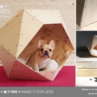 Geometric Dog House