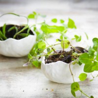 How-To: Mini Oven Bake Clay Planters and Bowls