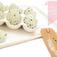 How-To: Robin Egg Marshmallows