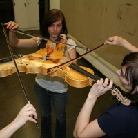 The Triolin: Mutant Violin Requires Three Players