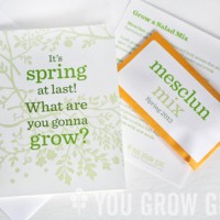 Celebrate Spring with Seed-Filled Card