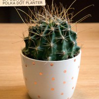 How-To: Polka Dot Copper Tape Planter