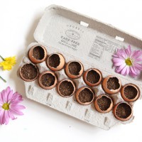 Mini Egg Crate Garden