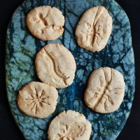 Fossil Cookies Made Using Plastic Bug Toys