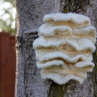 Knitted Forms of Fungi