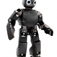 small black humanoid robot with black plastic chasis and oversized eyes