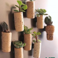 How-To: Magnetic Cork Planters