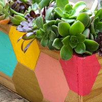 How-To: Hexagon Planter Box