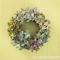 How-To: Succulent Wreath