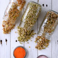 How-To: Sprouting Jars