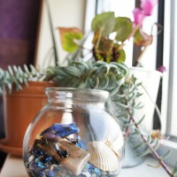 Beach Souvenir Terrarium