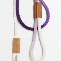 How To Make a Modern Dip-Dyed Leash