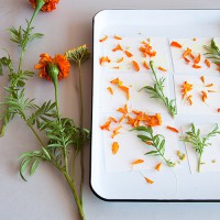 Flower Dyed Thank You Notes