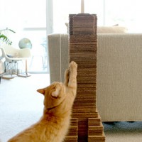 How-To: Skyscraper Cat Scratcher