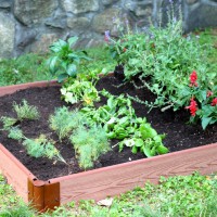 DIY Vegetable Garden