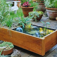 How-To: Small Space Water Garden