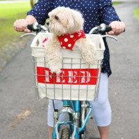 How-To: Upcycled Bike Basket