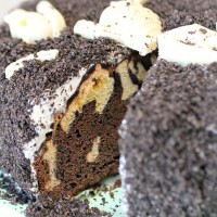 Cookies n’ Cream Fossil Cake