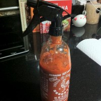 Sriracha Spray Bottle Hack