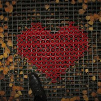 Yarn Bombing with Cross-Stitched Hearts