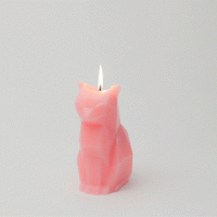 Cat Candles with Metal Skeletons