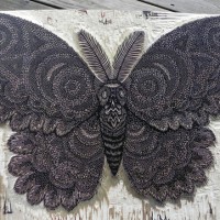 Moth Woodcut from Tugboat Printshop