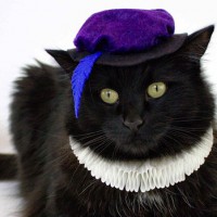 How-To: Cat Renaissance Costume