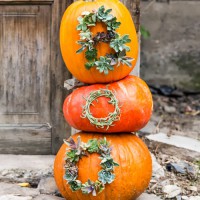 Halloween Inspiration: Succulent Worded Pumpkins