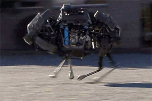 Great Galloping Robots: Muybridge’s Horse vs. Boston Dynamics’ WildCat