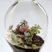 Blown Glass Terrarium Sculptures