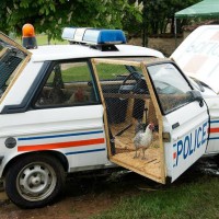 Police Car Converted into Chicken Coop