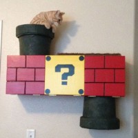 Homemade Super Mario Bros Cat Climber