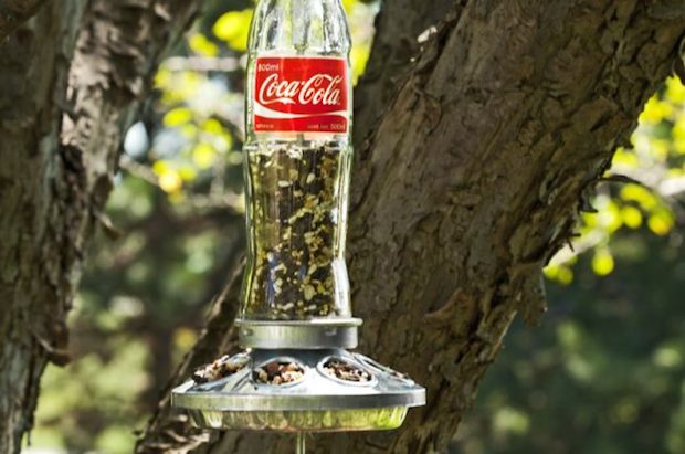 How-To: Soda Bottle Bird Feeder | Make: