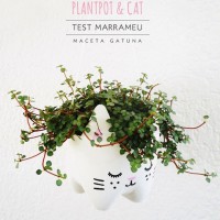 How-To: Plastic Bottle Cat Planter