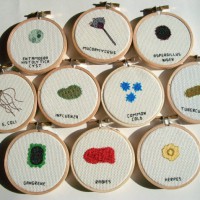 Cross-Stitched Microbes